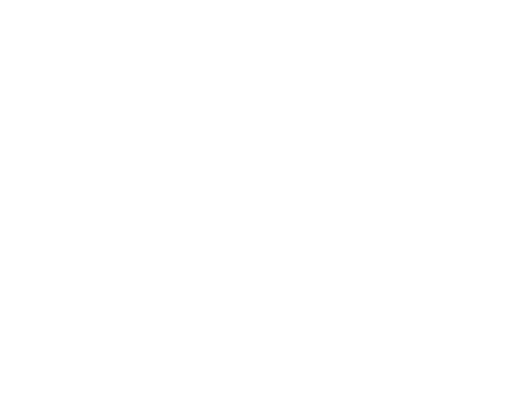 SSFF & ASIA