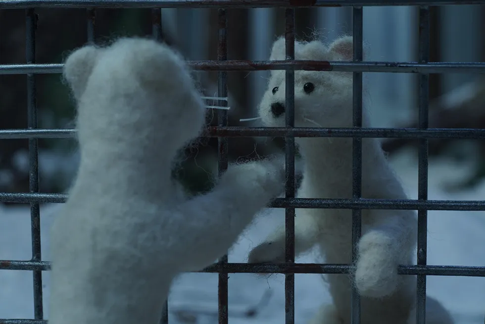 キッズプログラム