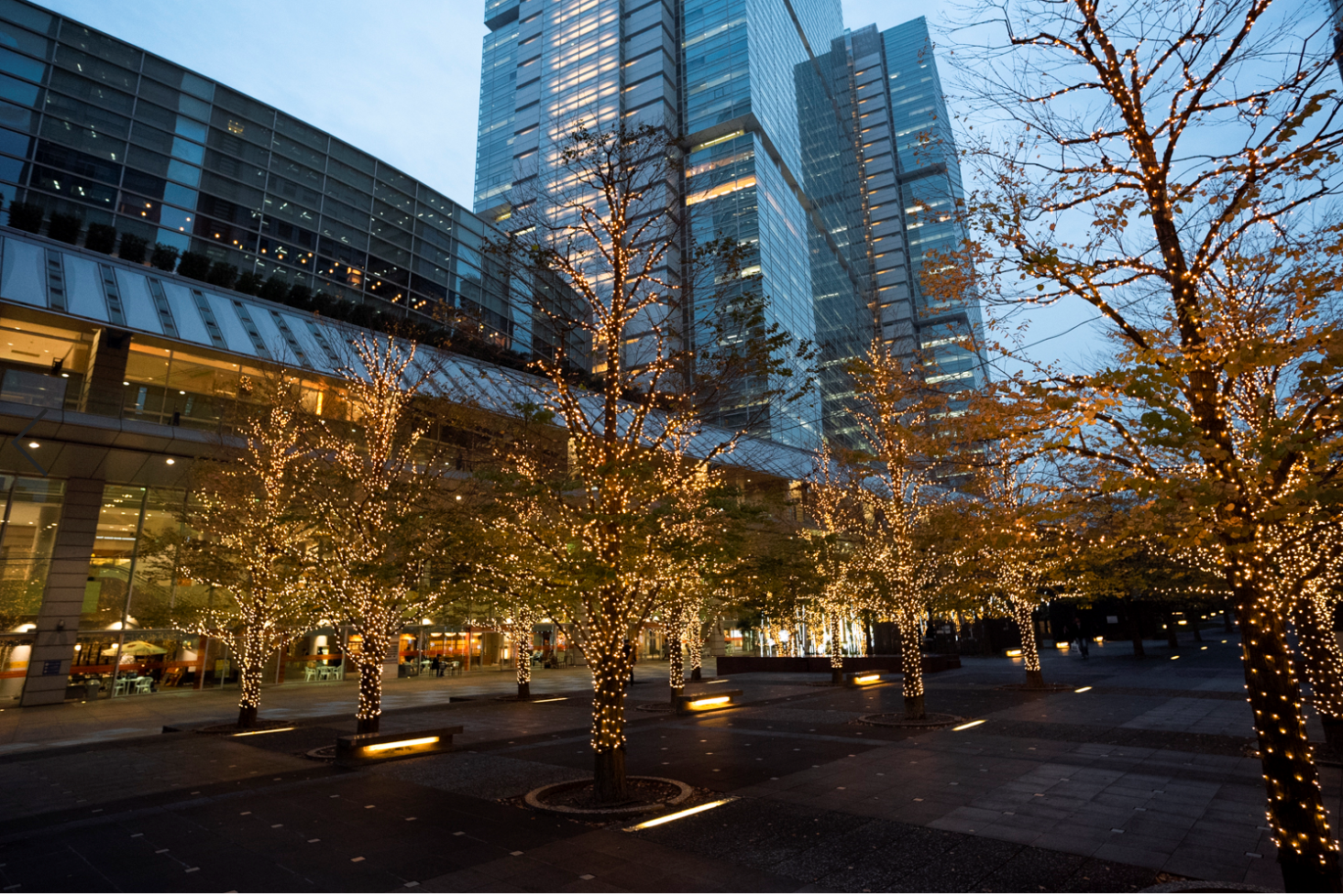 【ユニカビジョン】今週の「SHINJUKU CINEMA SQUARE 21
