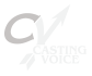 CastingVoice